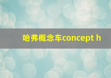 哈弗概念车concept h